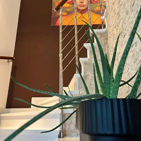 Daisy With A View Baška