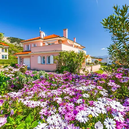 Appartement Daisy With A View