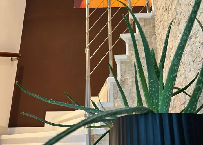 Daisy With A View Baška