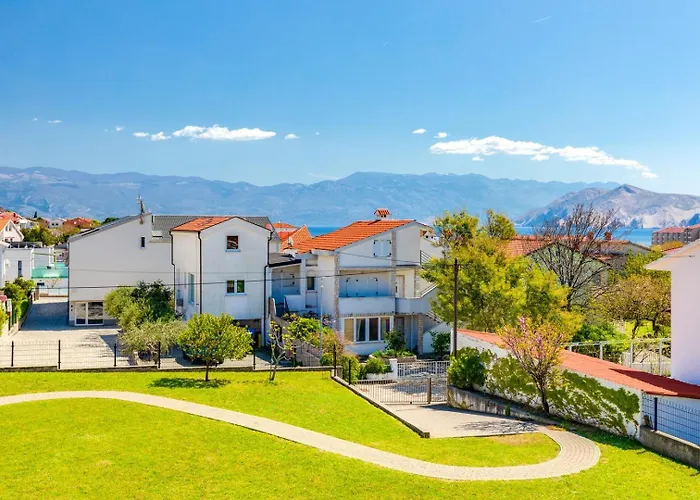 Daisy With A View バスカ