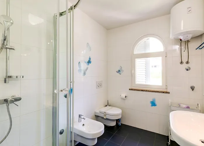 Daisy With A View バスカ